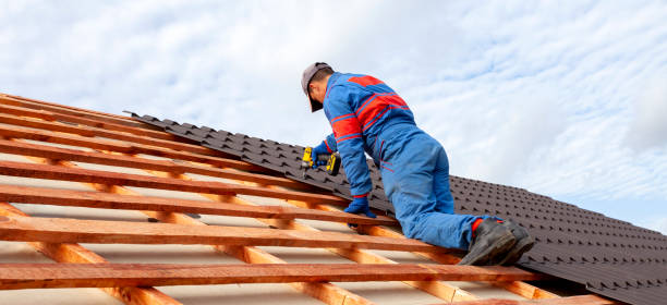 Best Roof Insulation Installation  in Eldorado, IL